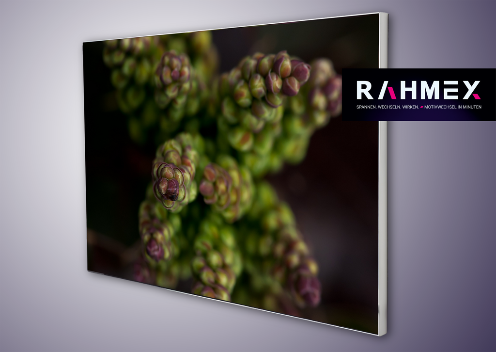 RAHMEX Textilspannrahmen 60 x 40 cm  zur Wandmontage Indoor  – inkl. Druck | Motivwechsel in Minuten