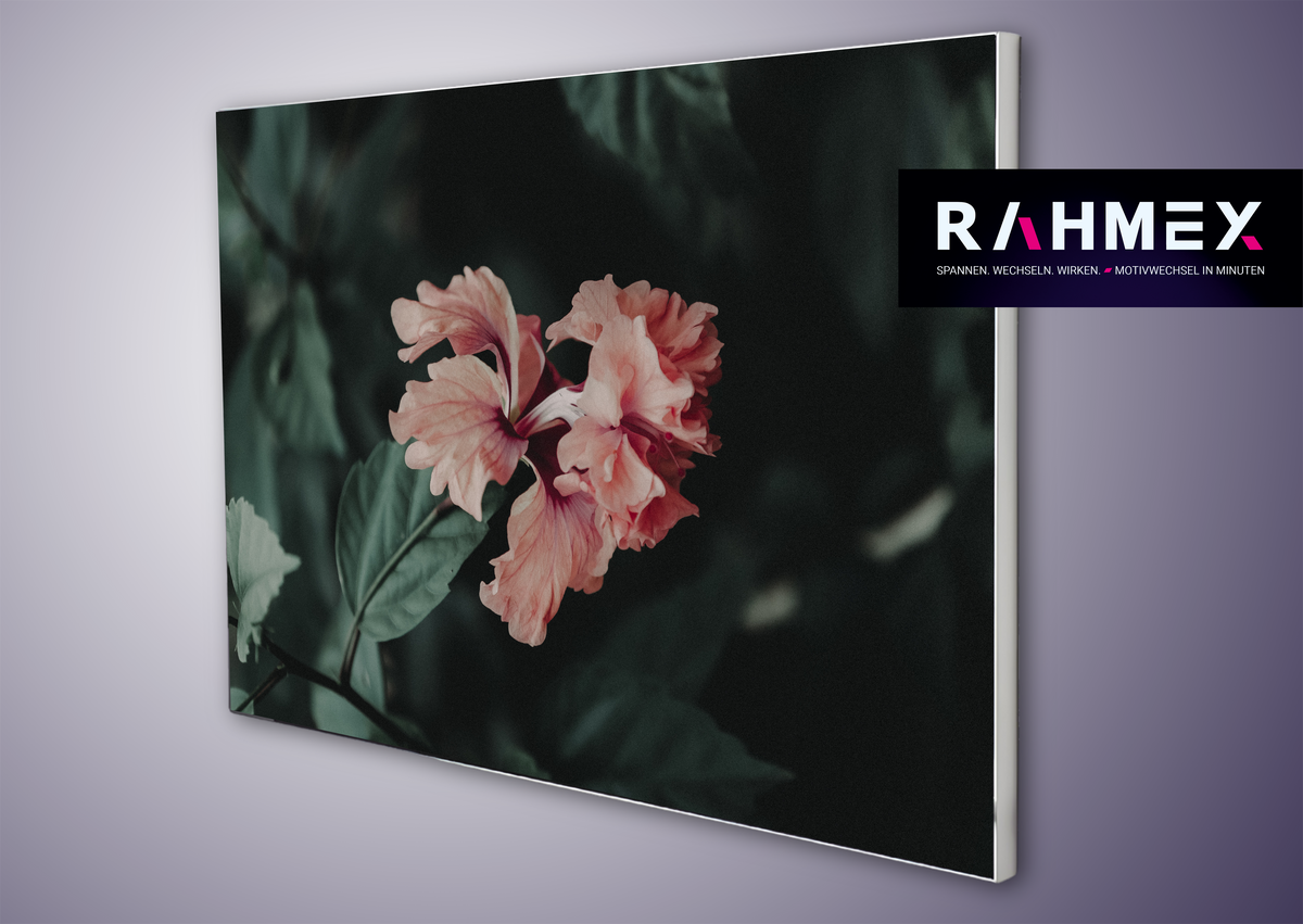 RAHMEX Textilspannrahmen 85 x 60 cm zur Wandmontage Indoor  – inkl. Druck | Motivwechsel in 3 Minuten