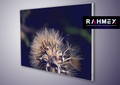 RAHMEX Textilspannrahmen 100 x 70 cm zur Wandmontage Indoor  – inkl. Druck | Motivwechsel in Minuten