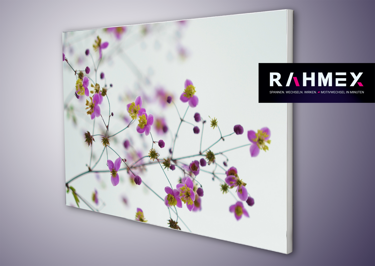 RAHMEX Textilspannrahmen 120 x 85 cm zur Wandmontage Indoor  – inkl. Druck | Motivwechsel in Minuten