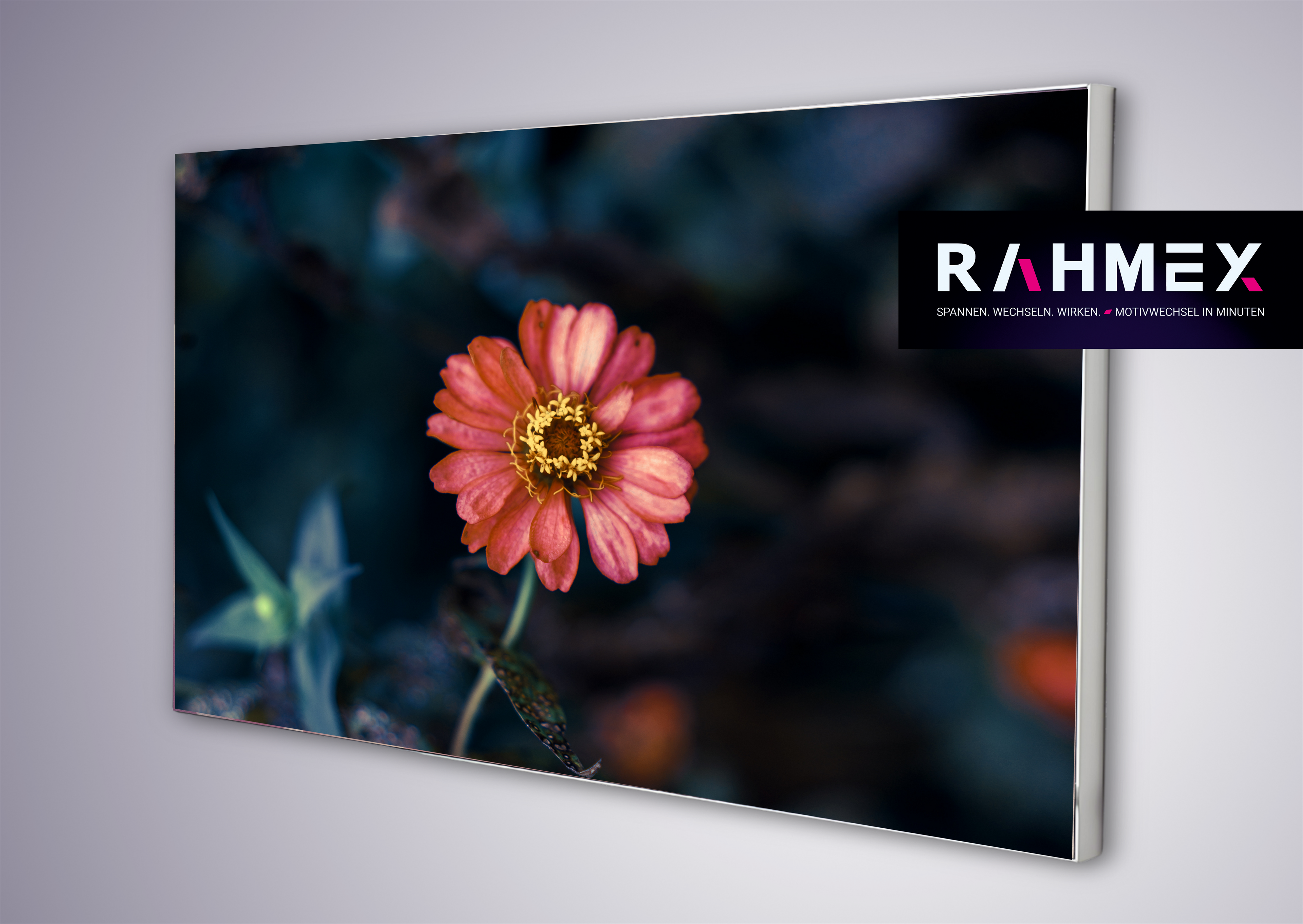 RAHMEX Textilspannrahmen 200 x 85 cm zur Wandmontage Indoor – inkl. Druck | Motivwechsel in Minuten