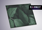 RAHMEX Textilspannrahmen 100 x 100 cm zur Wandmontage Indoor – inkl. Druck | Motivwechsel in Minuten