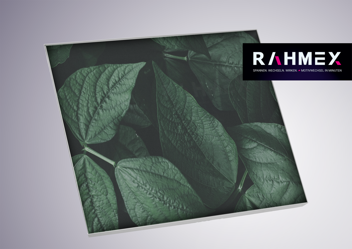 RAHMEX Textilspannrahmen 100 x 100 cm zur Wandmontage Indoor – inkl. Druck | Motivwechsel in Minuten