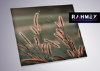RAHMEX Textilspannrahmen 125 x 125 cm zur Wandmontage Indoor – inkl. Druck | Motivwechsel in Minuten