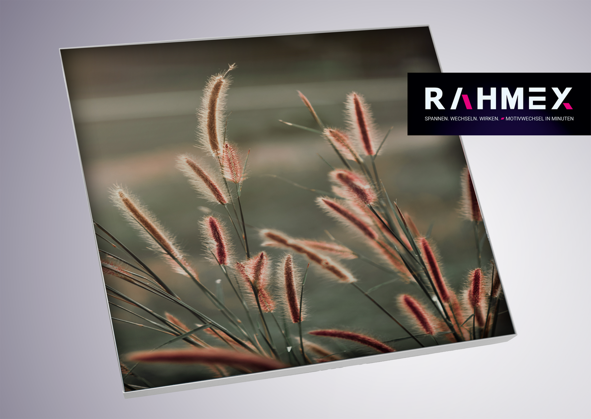 RAHMEX Textilspannrahmen 125 x 125 cm zur Wandmontage Indoor – inkl. Druck | Motivwechsel in Minuten