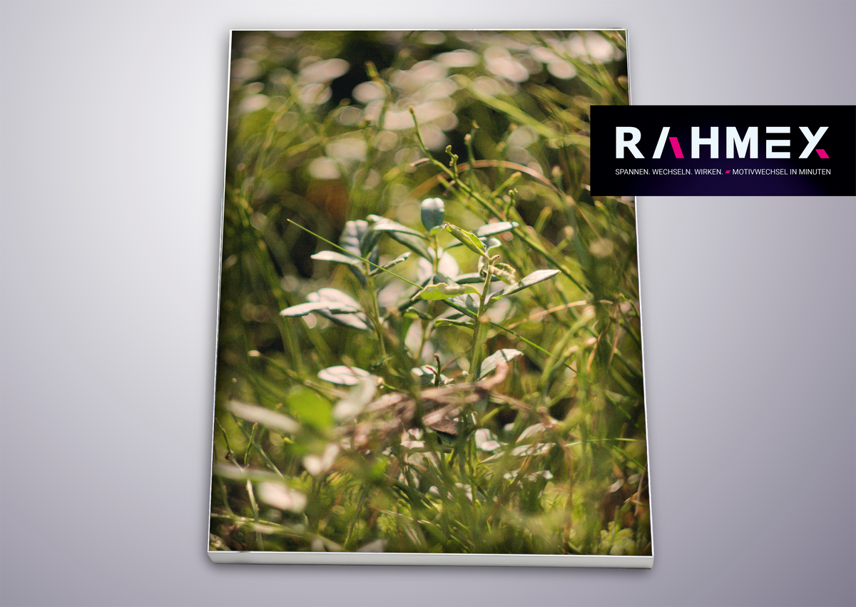 RAHMEX Textilspannrahmen 200 x 100 cm zur Wandmontage Indoor – inkl. Druck | Motivwechsel in Minuten - Bild 2