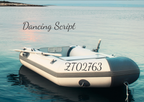 Bootskennzeichen 8 cm hoch| für Schlauchboot und Angelboot| personalisierte Bootsbeschriftung + Gratis Symbole | ein Produkt - beide Seiten des Bootes  (2 Schriftzüge) - Bild 10