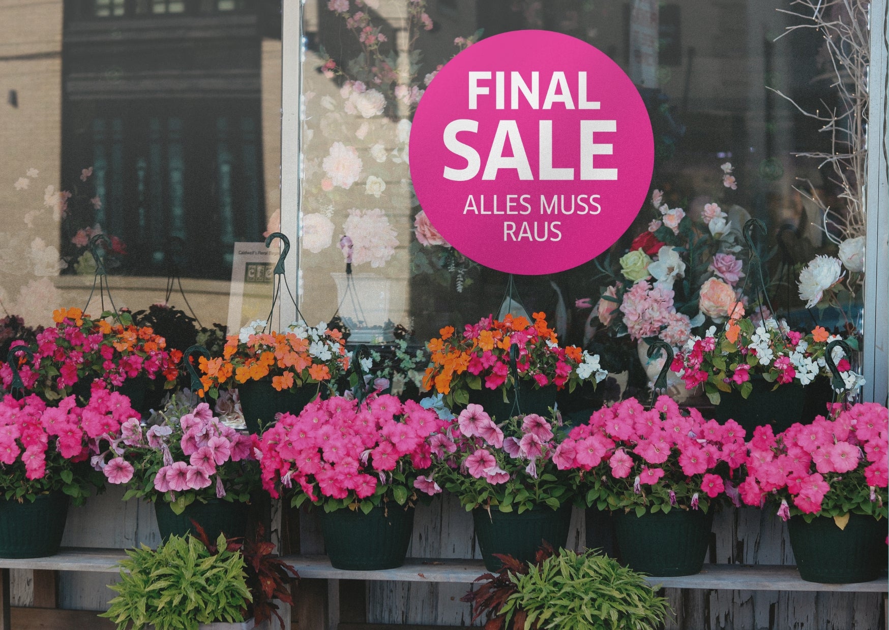 Final Sale , alles muss raus | Sale Fensteraufkleber | Ø 20-90 cm - rot, rosa, orange, blau, grün - Bild 5