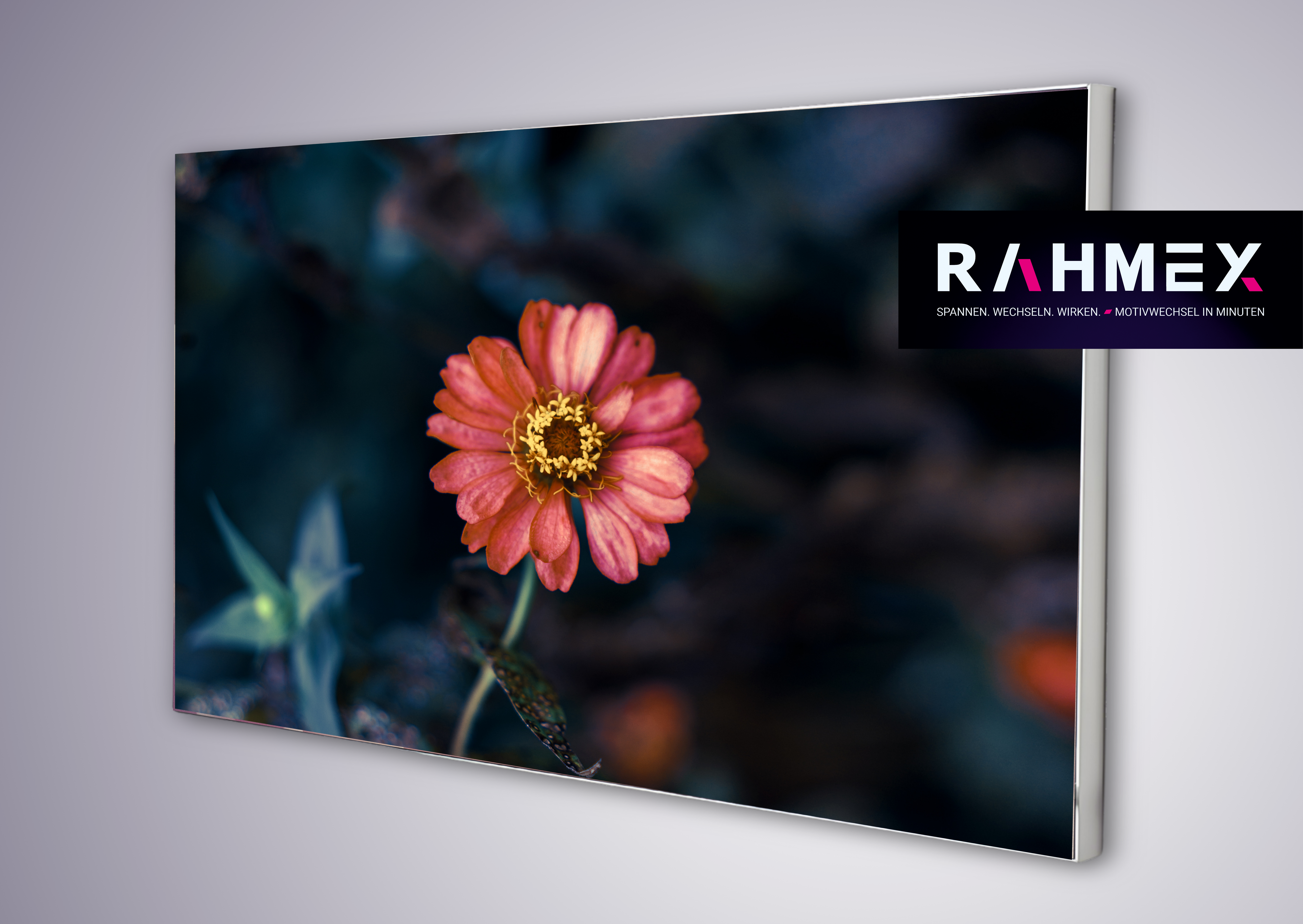 RAHMEX Textilspannrahmen 200 x 85 cm zur Wandmontage Indoor – inkl. Druck | Motivwechsel in Minuten