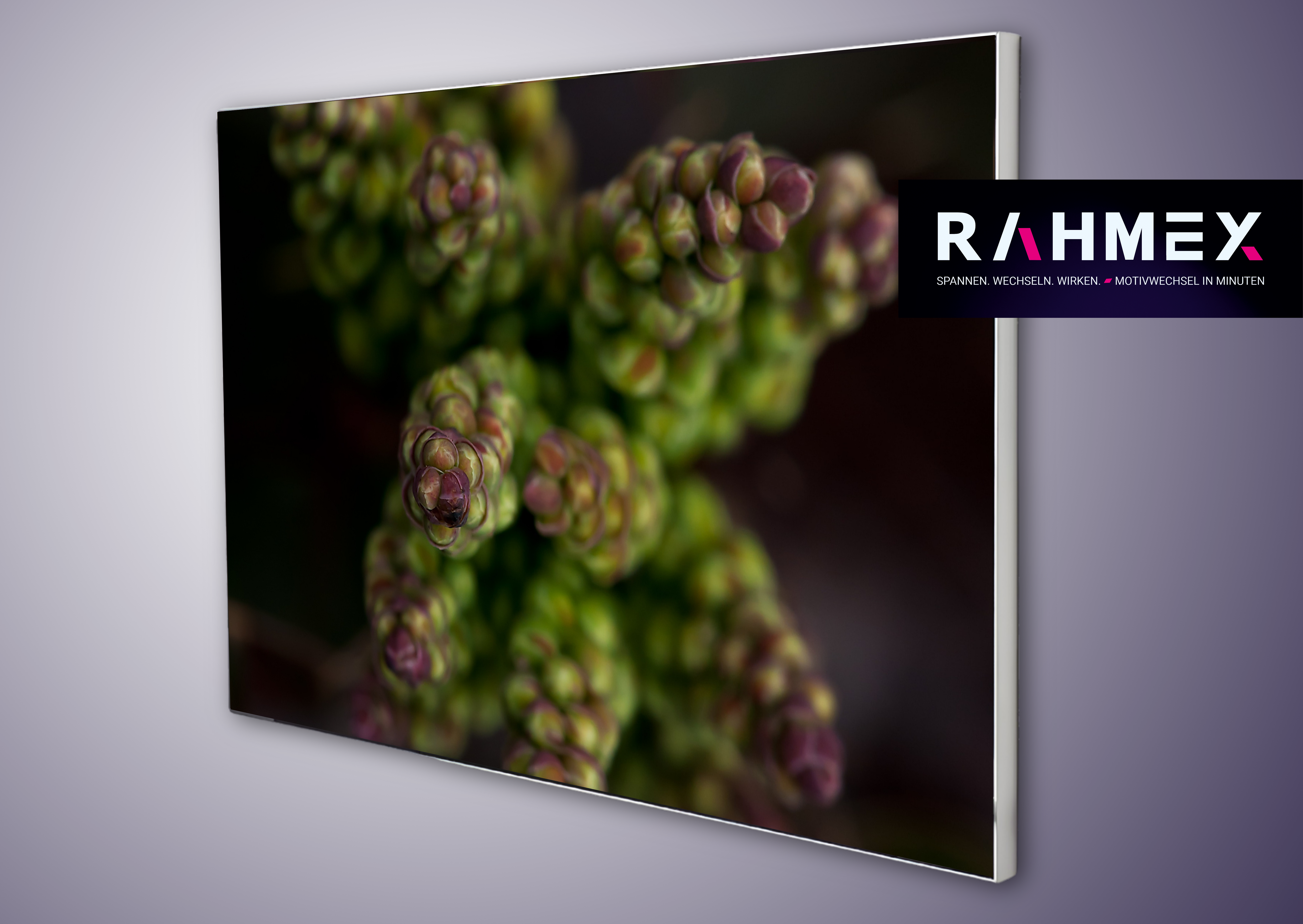 RAHMEX Textilspannrahmen 60 x 40 cm  zur Wandmontage Indoor  – inkl. Druck | Motivwechsel in Minuten 